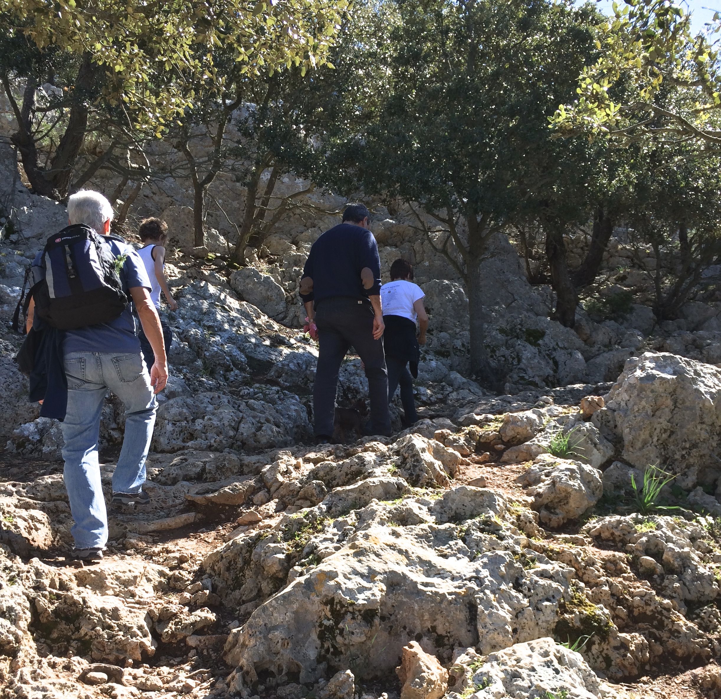 Hiking Alaró