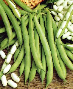 photo-white-beans-and-pods