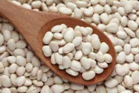 photo-white-beans-dried